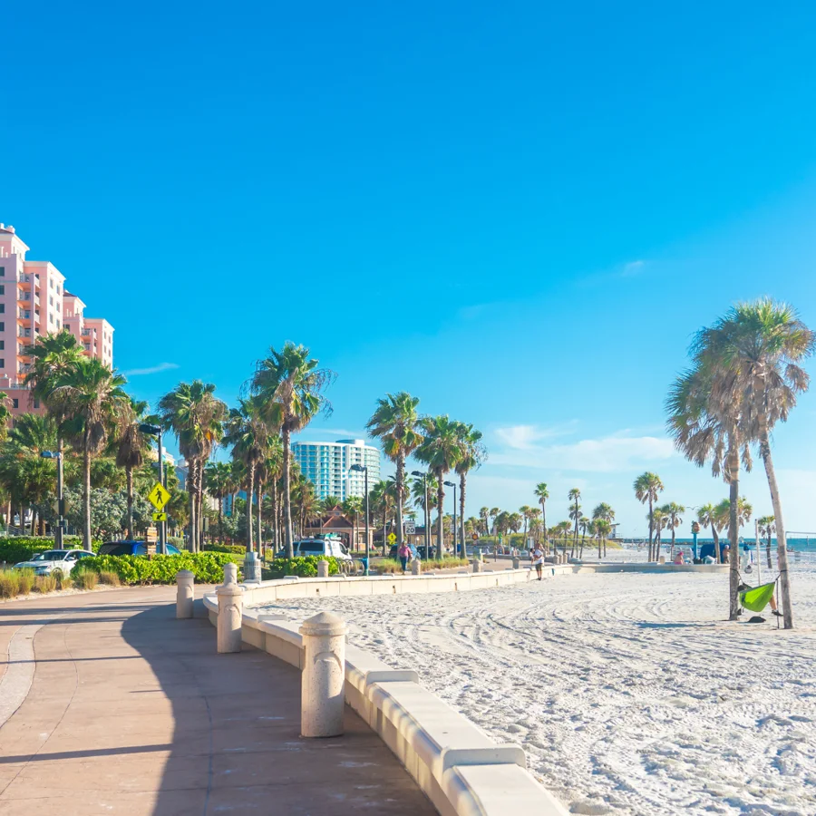 Palm-lined Clearwater Beach with white sand and Gulf waters